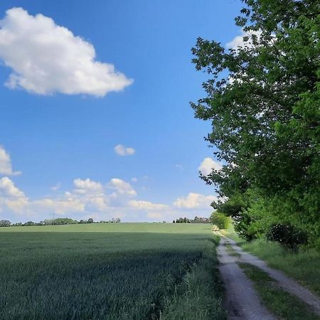 Vierseitenhof Hasenfelde - Ferienwohnung Feldblick Steinhofel Екстер'єр фото