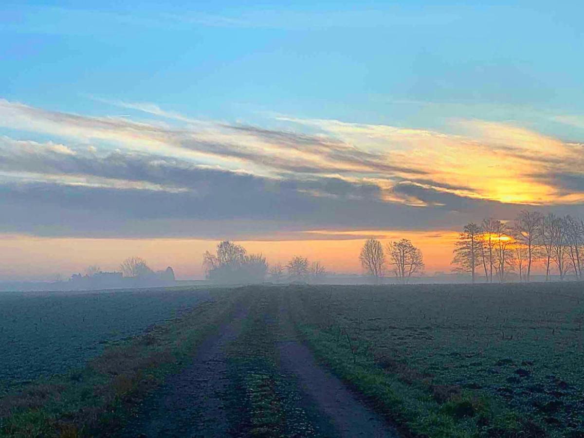 Vierseitenhof Hasenfelde - Ferienwohnung Feldblick Steinhofel Екстер'єр фото