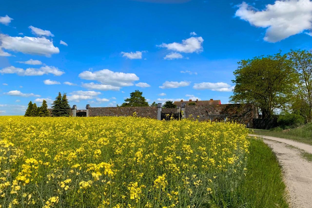 Vierseitenhof Hasenfelde - Ferienwohnung Feldblick Steinhofel Екстер'єр фото