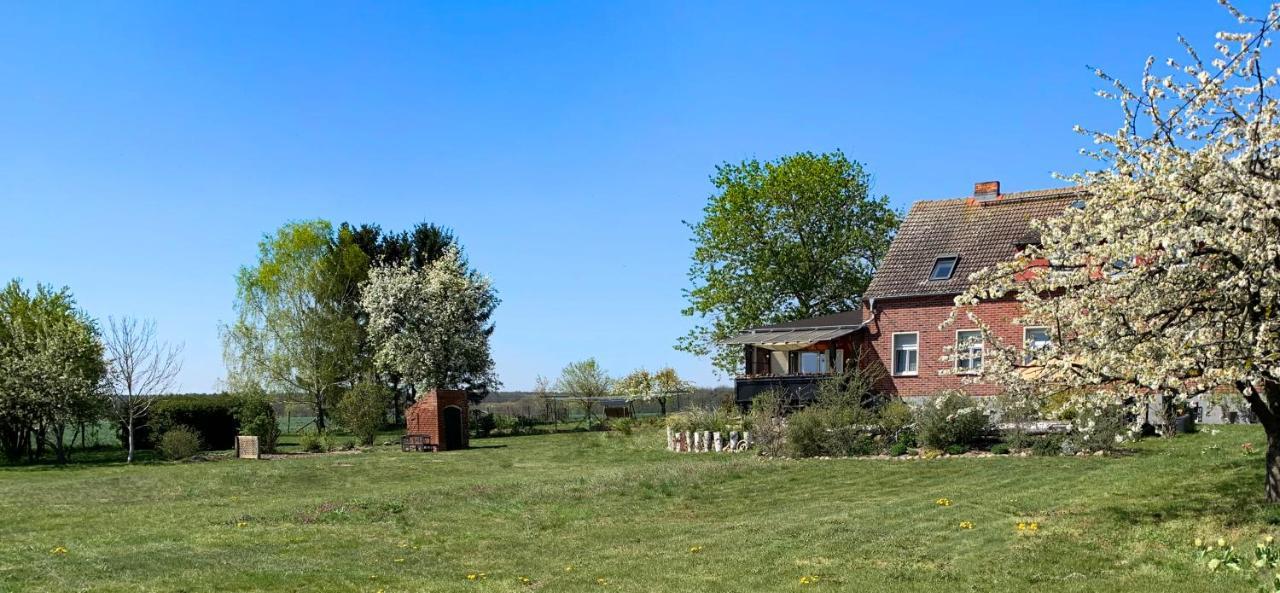 Vierseitenhof Hasenfelde - Ferienwohnung Feldblick Steinhofel Екстер'єр фото