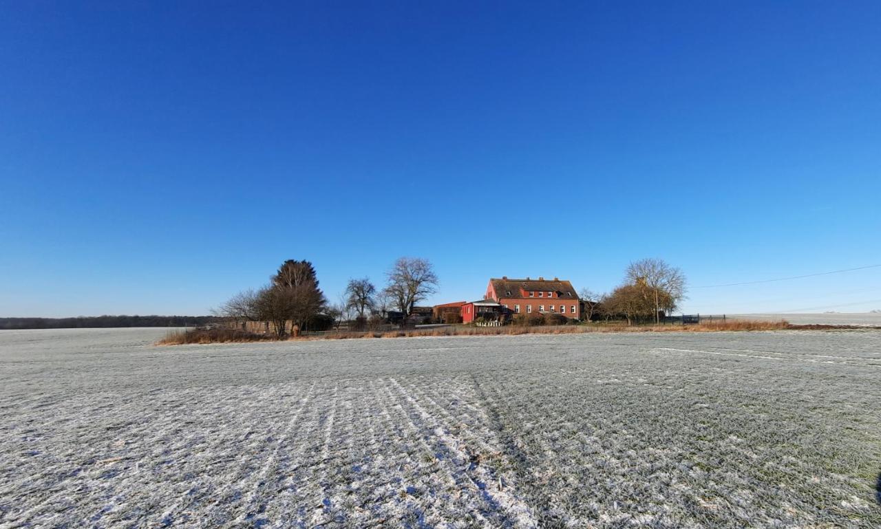 Vierseitenhof Hasenfelde - Ferienwohnung Feldblick Steinhofel Екстер'єр фото